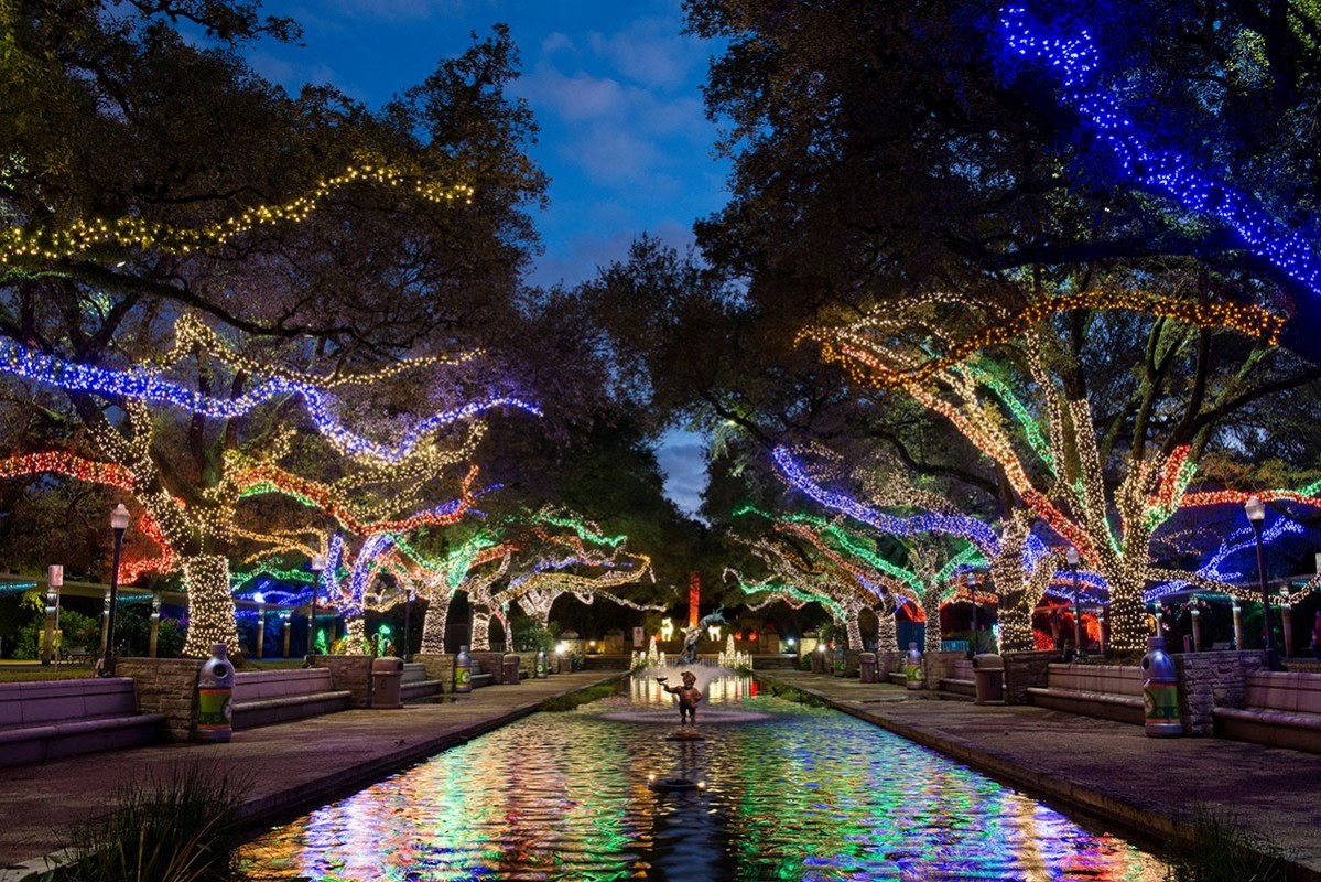 zoo-lights-the-buzz-magazines